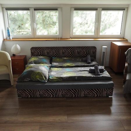 Bílá Třemešná Apartman U Borovice מראה חיצוני תמונה